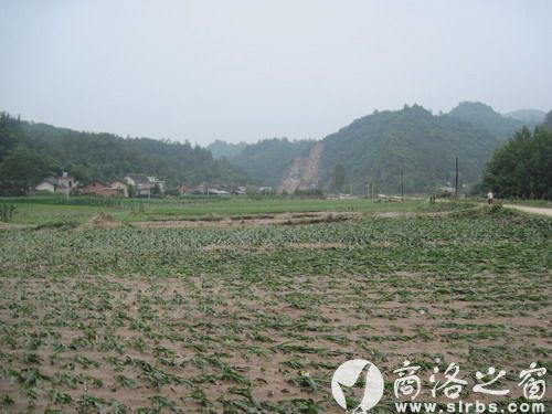 農(nóng)作物受災(zāi)920公頃，其中：絕收210公頃，水毀河堤72公里、耕地210公頃，灌渠24公里，自來水管線180公里。圖為趙