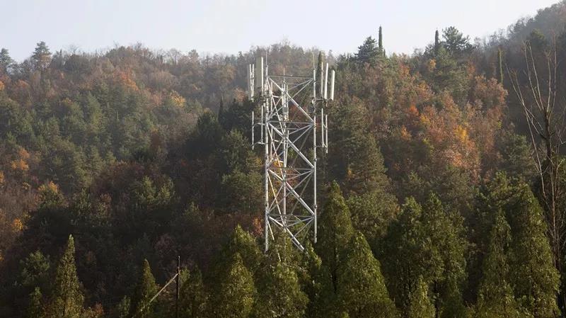 1密林深處，豎立起格外醒目的移動4G基站.jpg