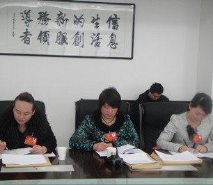 文化、衛(wèi)生界委員認(rèn)真記錄委員討論內(nèi)容