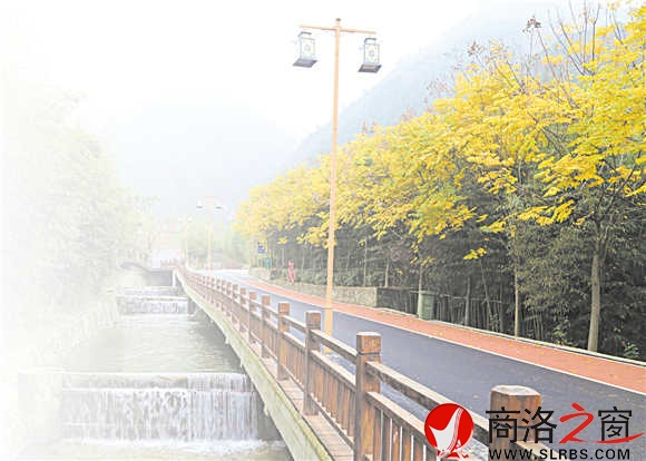 碧水、青竹、黃葉、觀景道，美麗鄉(xiāng)村竹林關(guān)的鄉(xiāng)間小道。