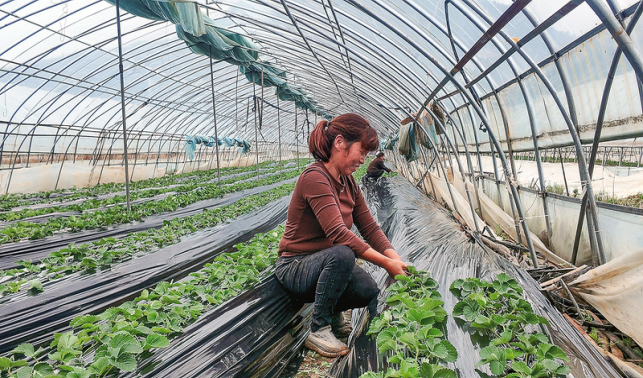 下灣村 生態(tài)美托起百姓富