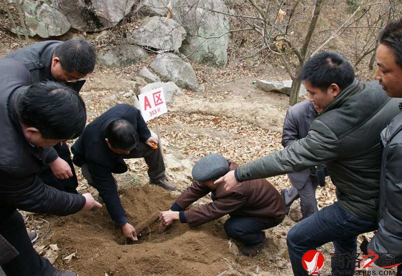 商南縣政府開展送政策、送技術、送溫暖活動
