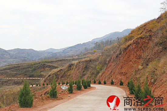 已經(jīng)完成普修的王山底至?xí)?，兩旁栽植了青翠的松柏行道樹? width=