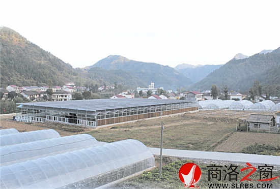 現(xiàn)代農(nóng)業(yè)園區(qū)，農(nóng)民抱團(tuán)闖市場(chǎng)的基地。