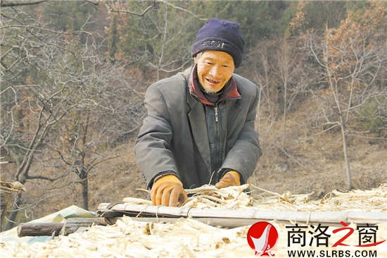 天氣暖和了，何長(zhǎng)財(cái)一邊曬太陽(yáng)，一邊收拾挖回來(lái)的藥材。