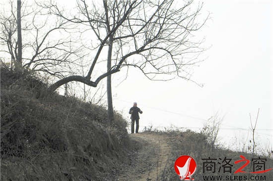 我們離開時(shí)，吳桂香送出很遠(yuǎn)。我們已經(jīng)走遠(yuǎn)，山梁上那孤獨(dú)的身影久久不肯離去。