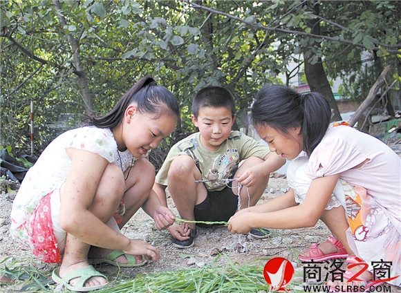 黃沙嶺腳下，胡昊和小伙伴們正在給一只小鳥用草編籠子。